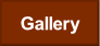 wpf38b23e8.png